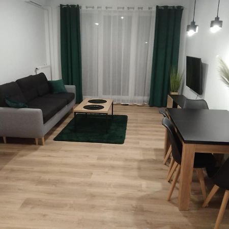 Apartament Berylowa 1 科宁 外观 照片
